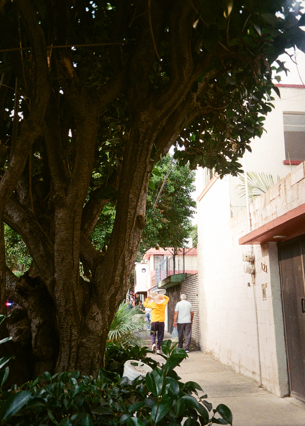 Coyoacán film photo